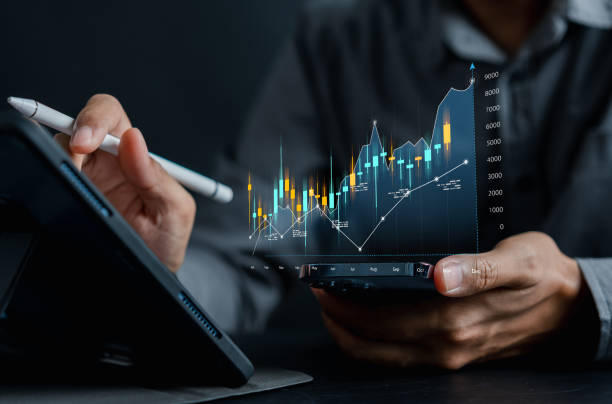 Topeaners ltd Portfolio Experts